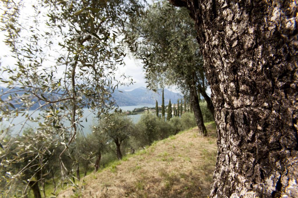 Residence Le Balze Malcesine Kültér fotó